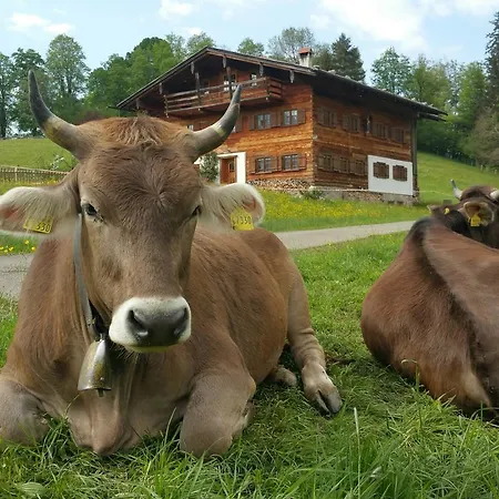 Hotel Cafe Fuggerhof 3*