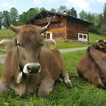 Hotel Hotel Fuggerhof Oberstdorf 3*