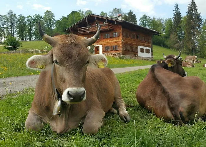 فندق Cafe Fuggerhof 3*